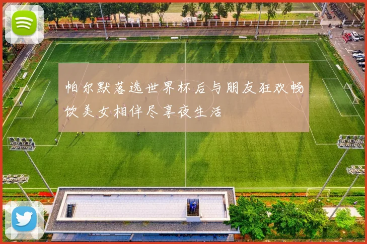 帕尔默落选世界杯后与朋友狂欢畅饮美女相伴尽享夜生活