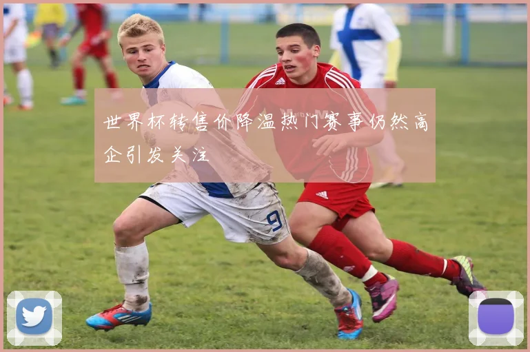 世界杯转售价降温热门赛事仍然高企引发关注
